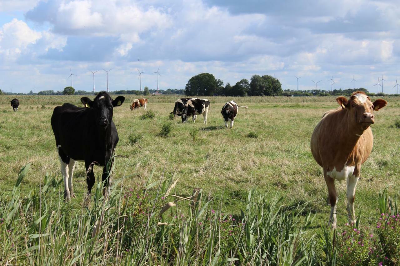 Ferienhof Spiegelhaus Krummhörn Exteriör bild